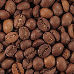 Кава в зернах Віденська кава Fresh Coffee 500г.